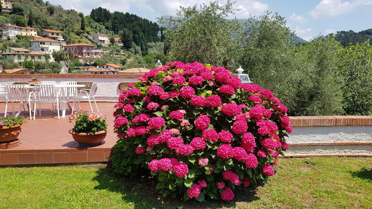 Casa Vittoria Villa Corsanico-Bargecchia Luaran gambar
