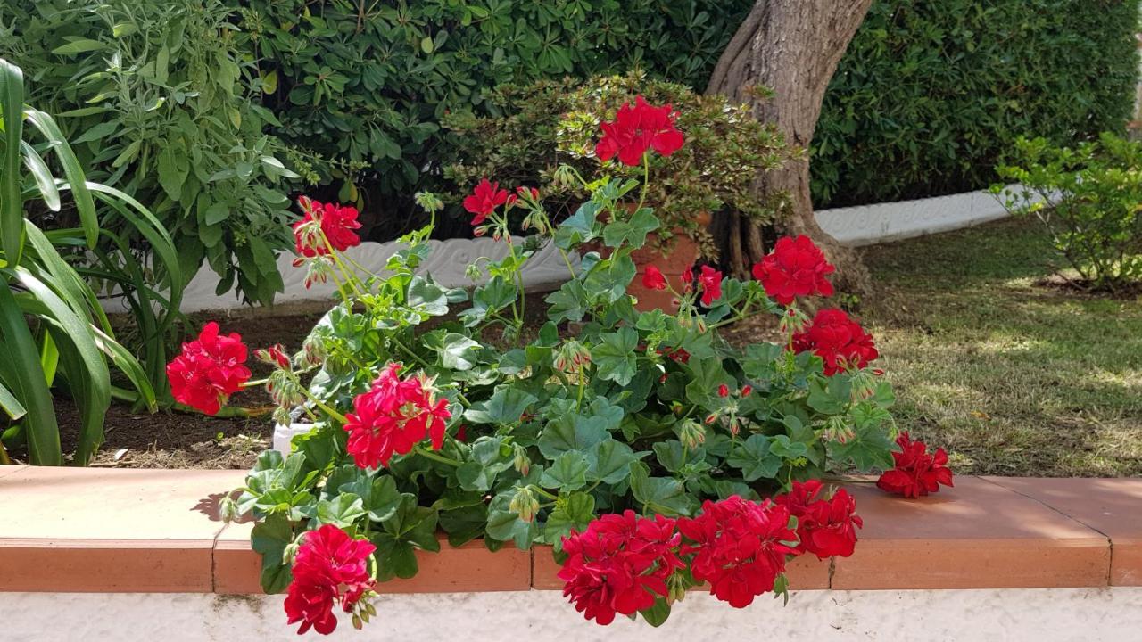 Casa Vittoria Villa Corsanico-Bargecchia Luaran gambar