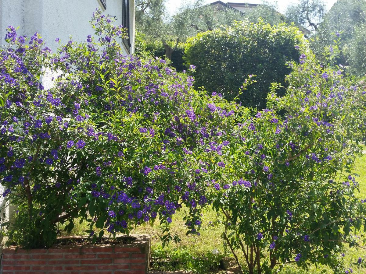 Casa Vittoria Villa Corsanico-Bargecchia Luaran gambar