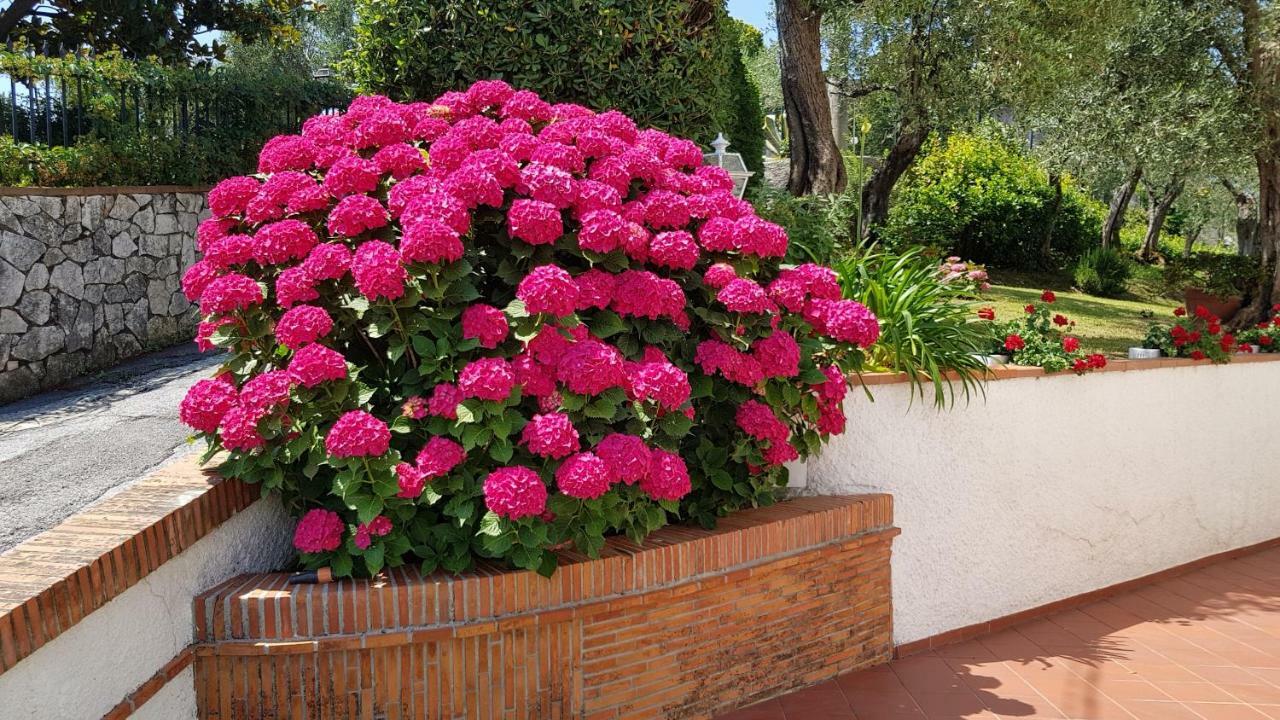 Casa Vittoria Villa Corsanico-Bargecchia Luaran gambar